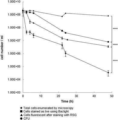 Campylobacter jejuni 11168H Exposed to Penicillin Forms Persister Cells and Cells With Altered Redox Protein Activity